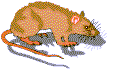 Gedchtnis